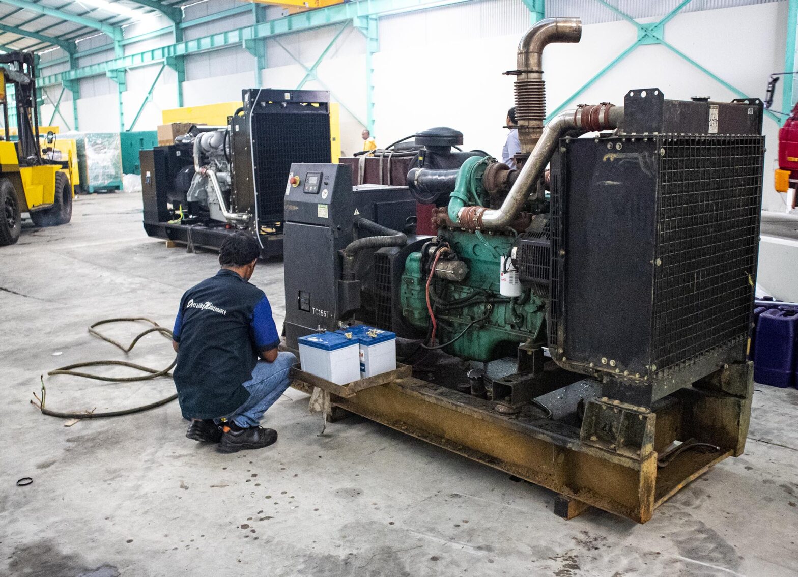 meraat-genet-cummins