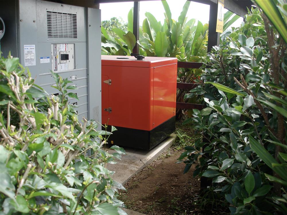 agen genset